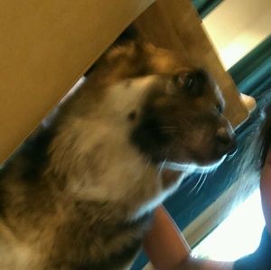 Meet your Posher, Kate